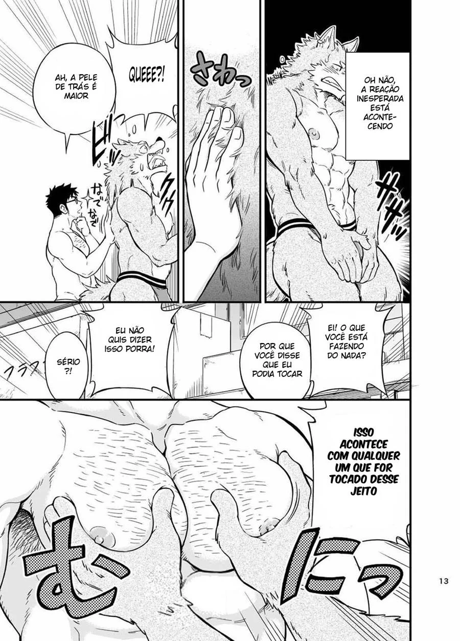 A Situação do Lobisomem Solitário