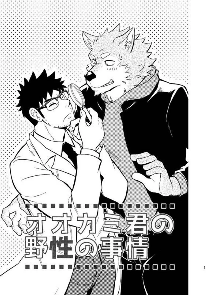 A Situação do Lobisomem Solitário