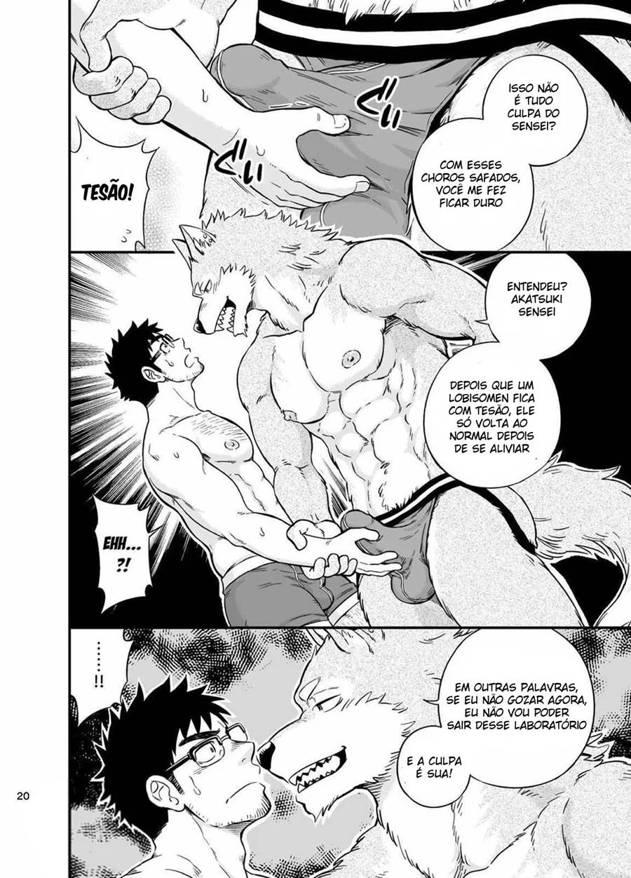 A Situação do Lobisomem Solitário