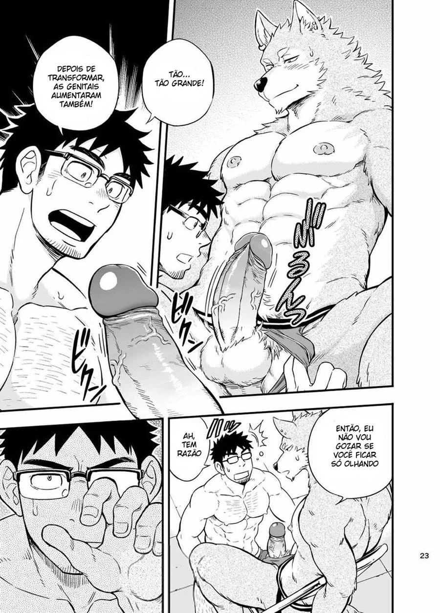 A Situação do Lobisomem Solitário