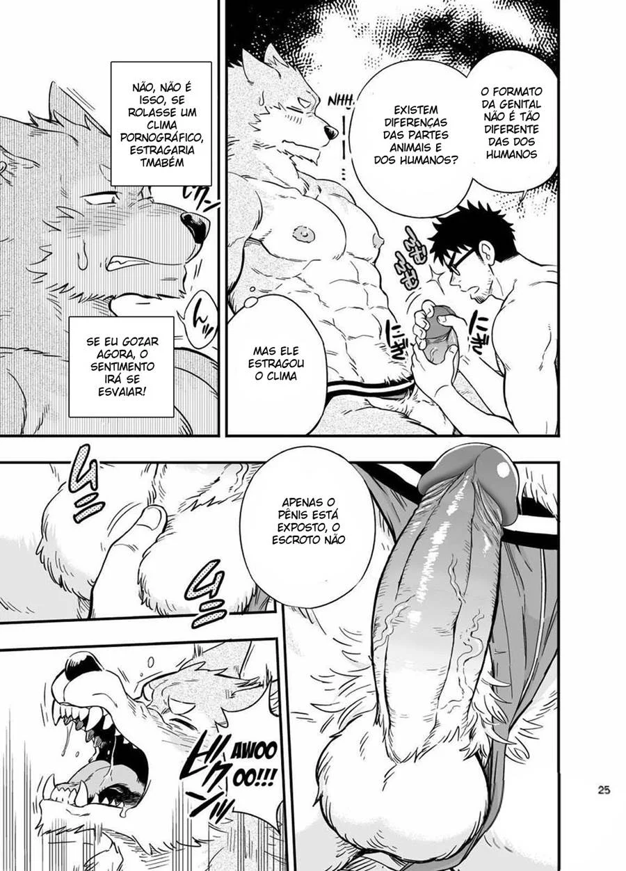 A Situação do Lobisomem Solitário