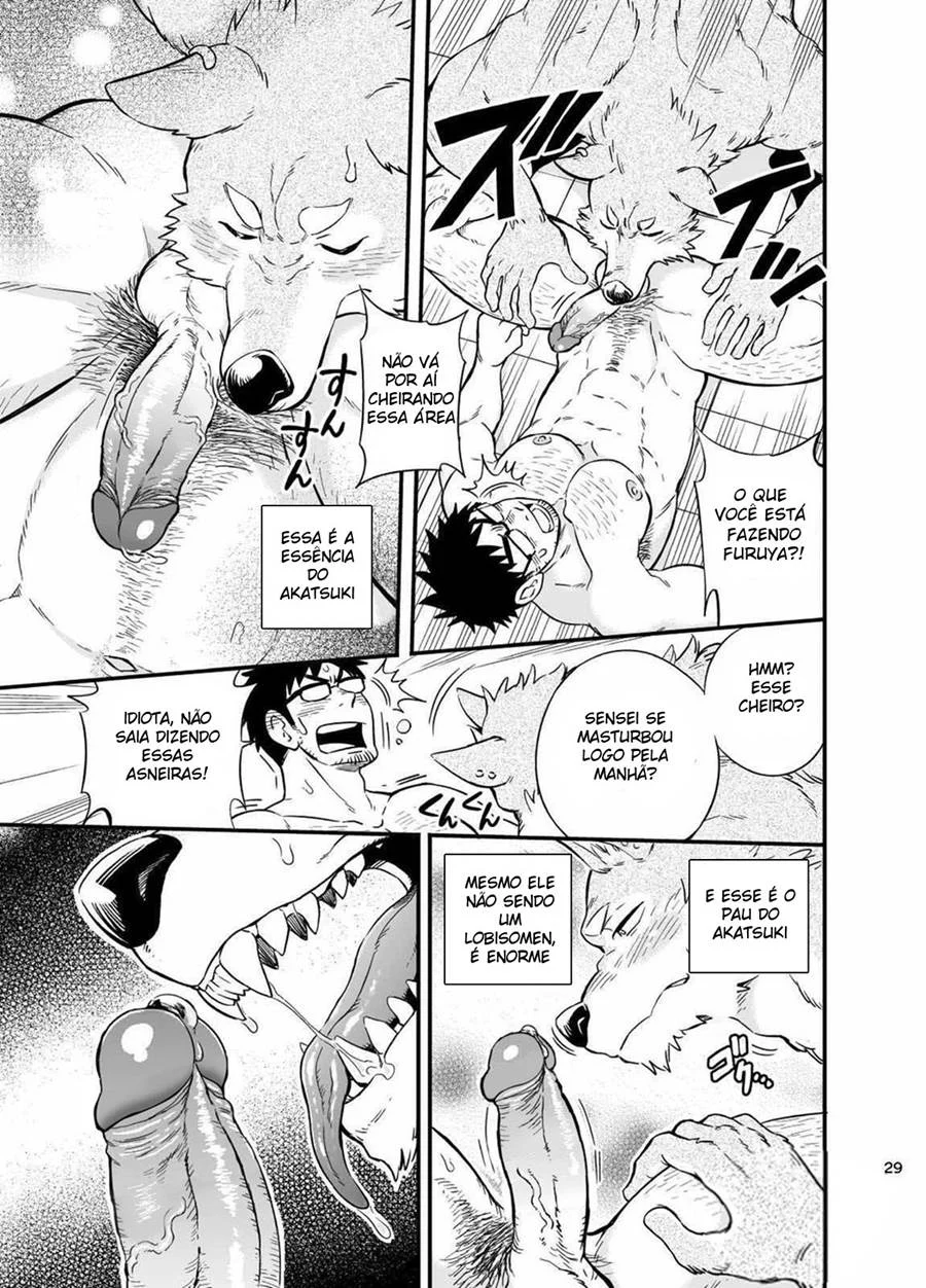 A Situação do Lobisomem Solitário