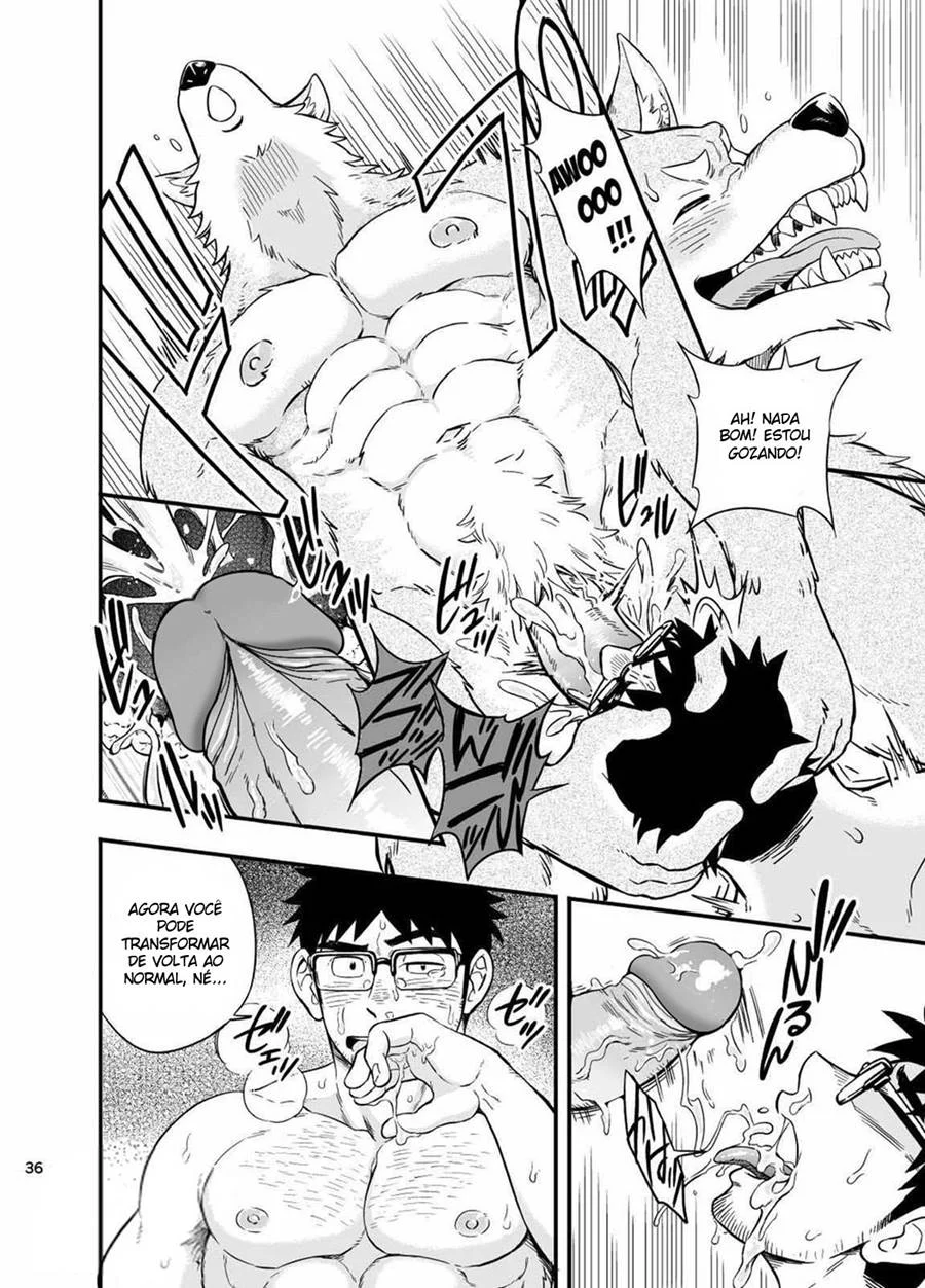 A Situação do Lobisomem Solitário