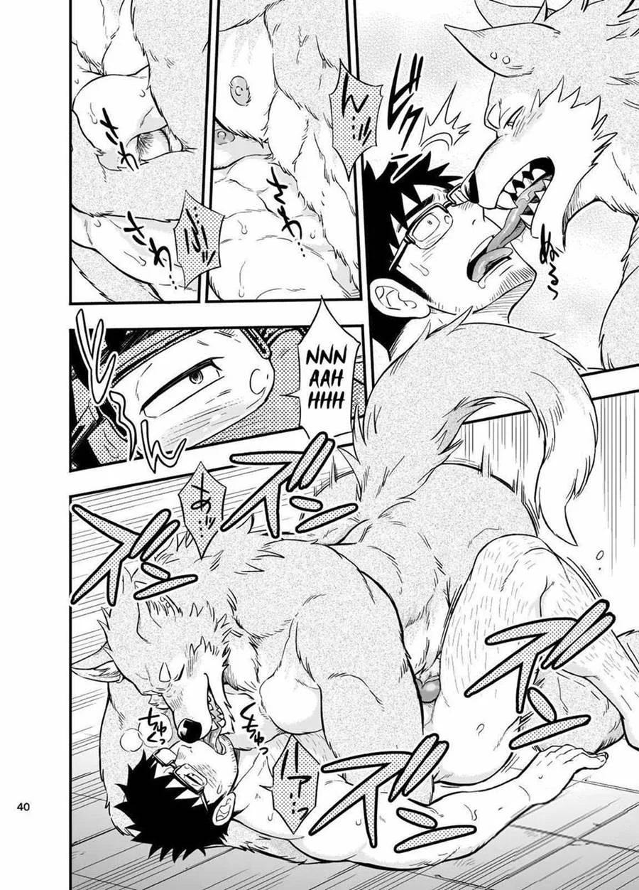 A Situação do Lobisomem Solitário