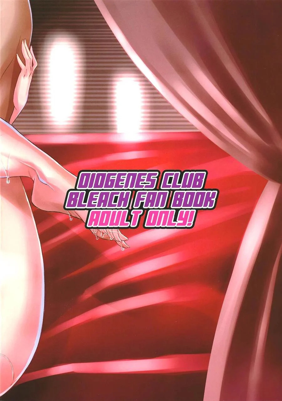 BRICOLA 6 – Bleach Hentai